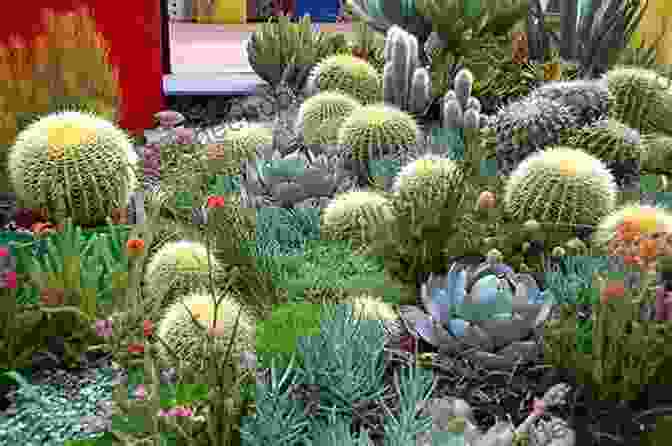 A Garden Featuring A Variety Of Cacti And Succulents Touring Texas Gardens Jessie Gunn Stephens