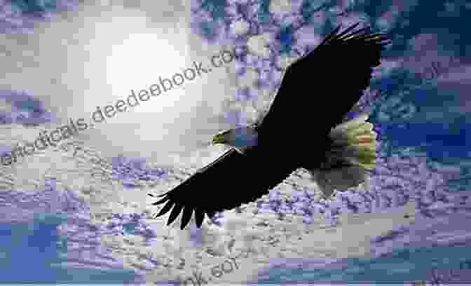 A Majestic Eagle Soaring Through The Sky. What Am I?: 11 (Kids Poems + Animal Facts)