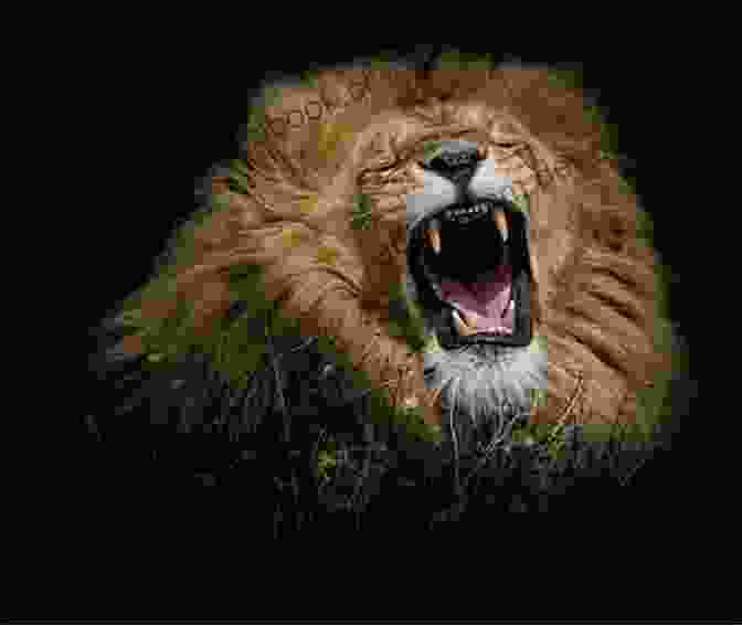 A Majestic Lion Roaring In The Wild. What Am I?: 11 (Kids Poems + Animal Facts)