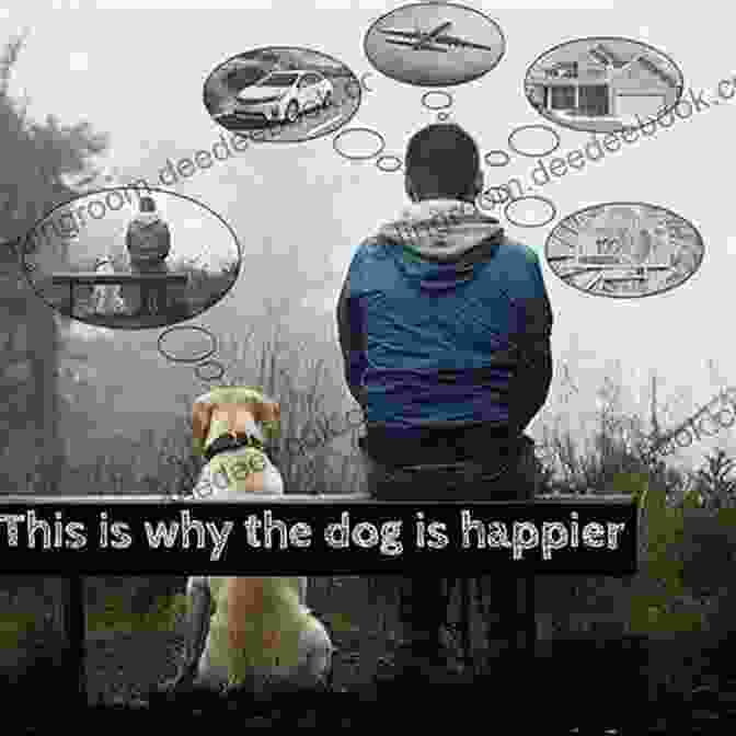 A Man Sitting On A Bench With A Thought Bubble Above His Head That Says 'I Wonder If I'll Ever Be As Happy As My Dog.' Humorama Gag Cartoons Presents: Laugh Riot A Three Collection Year 1964 Volume Two