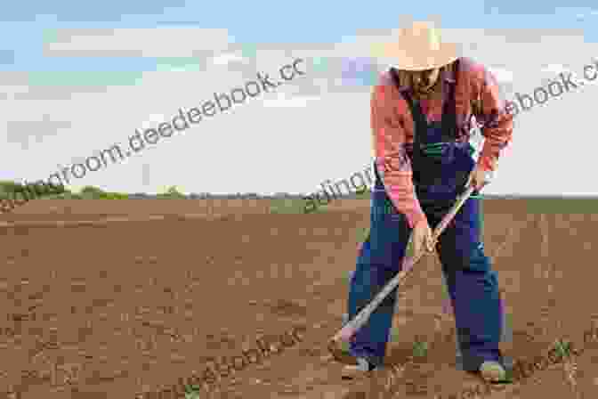 A Man Working In A Field My Job My Self: Work And The Creation Of The Modern Individual