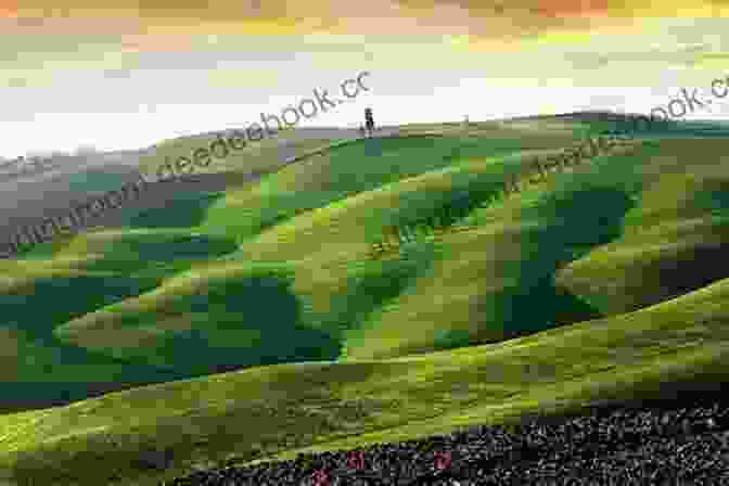 A Panoramic View Of Rolling Green Hills And Blue Skies Stretching Out To The Horizon, With A Small Farmhouse In The Distance. The Middle Of Somewhere: An Artist Explores The Nature Of Virginia