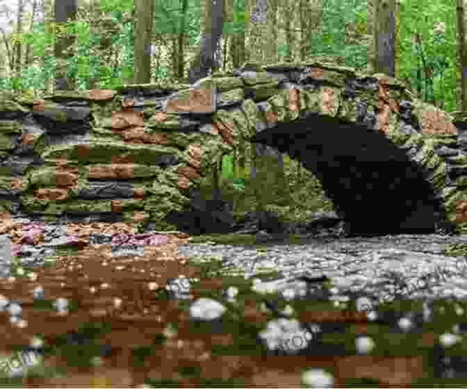 A Picturesque Stone Bridge With Arches Spanning A Narrow Waterway, Evoking A Sense Of Mystery And Intrigue. Bridge Of Sighs Richard Russo