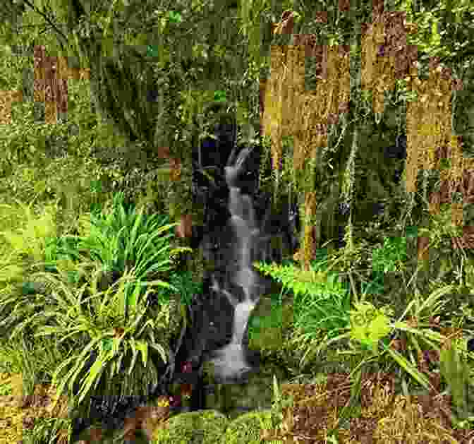 A Stream Surrounded By Lush Vegetation In A Forest Touring Texas Gardens Jessie Gunn Stephens