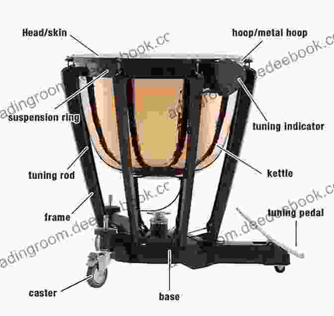 Anatomy Of The Timpani Fundamental Method For Timpani Joseph Alexander