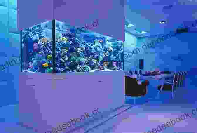 Avant Garde Aquarium Design The Avant Garde Marine Aquarist: A 60 Year History Of Fish Keeping