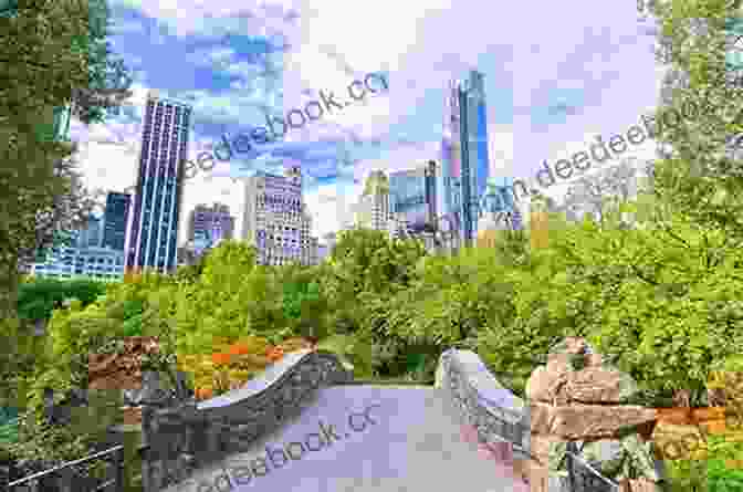 Central Park New York: Just Picture