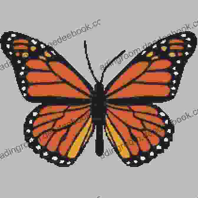 Cross Stitch Pattern Of A Monarch Butterfly With Realistic Wings And Patterns Butterfly 4 Cross Stitch Pattern Just Pictures