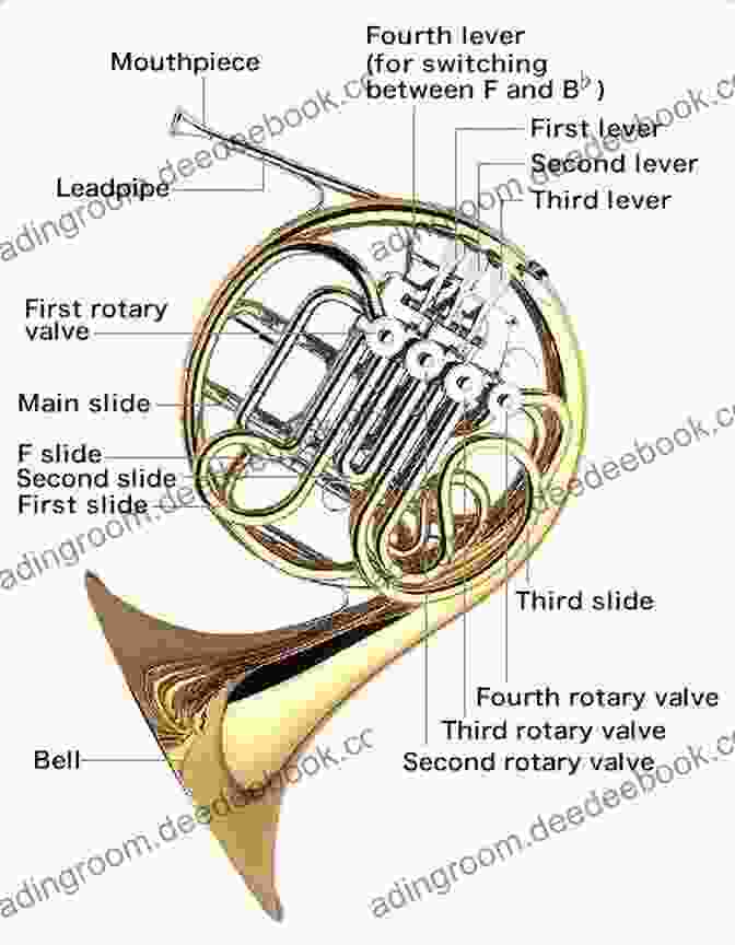 Detailed Diagram Of French Horn Anatomy The Art Of French Horn Playing (The Art Of Series)