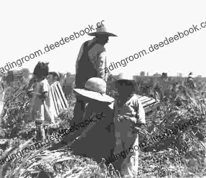 Filipino Farm Workers In Carson In The Early 1900s Filipinos In Carson And The South Bay (Images Of America)