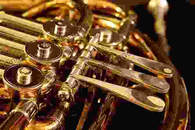 French Horn Player Cleaning And Oiling Their Instrument The Art Of French Horn Playing (The Art Of Series)