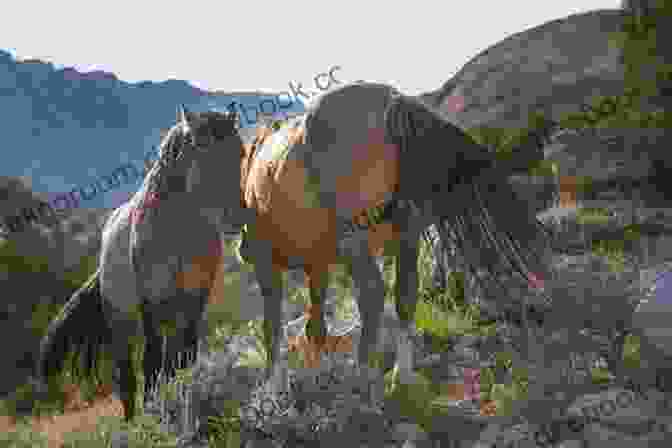 Gabriel Horses In The Pryor Mountains Gabriel S Horses (Racing To Freedom 1)