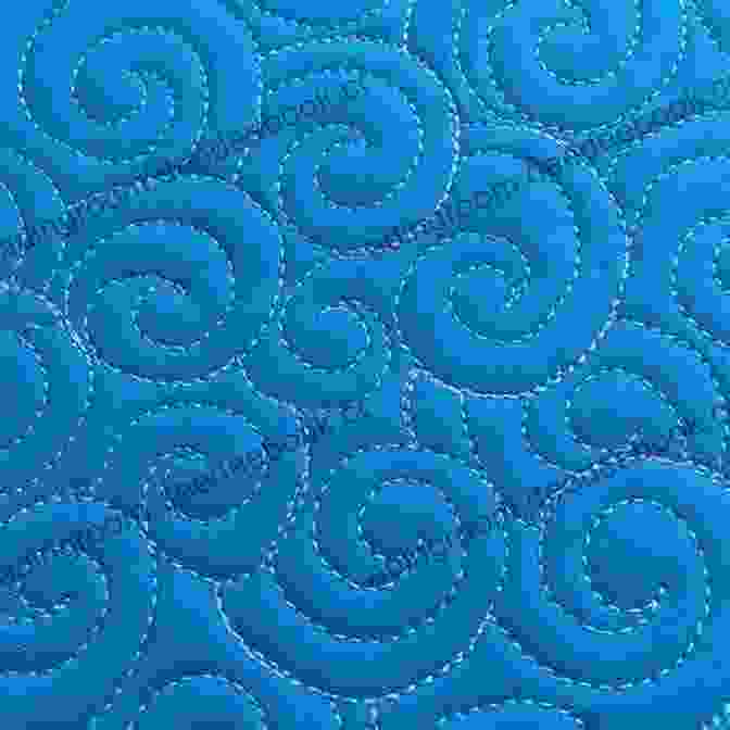 Loops Free Motion Quilting Design From Daisy To Paisley: 50 Beginner Free Motion Quilting Designs