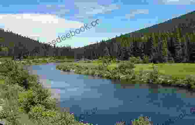 Lost Lake, A Secluded Lake In The Yaak River Valley Hiding In Montana (Rocky Mountain K 9 Unit 3)