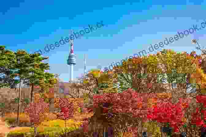 Namsan Park, With Its Iconic N Seoul Tower And The Vibrant Autumn Foliage What Sup Korea Vol 010: ICHEON INT L AIRPORT / Mountains Of Seoul