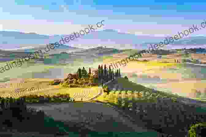 Rolling Hills And Vineyards Of The Tuscan Countryside Ah Tuscany Don McPherson