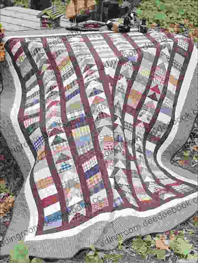 Strippy Geese Quilt Pattern Scrap Basket Surprises: 18 Quilts From 2 1/2 Strips