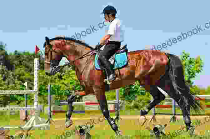 Trainer Working With A Horse On A Specific Training Goal. Horse Training Made Easy Robert Jennings