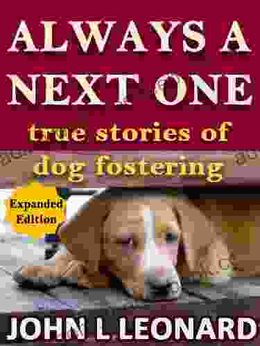 Always a Next One (true stories of dog fostering)