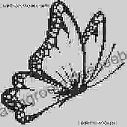 Butterfly 4 Cross Stitch Pattern Just Pictures