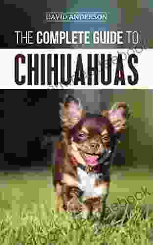 The Complete Guide to Chihuahuas: Finding Raising Training Protecting and Loving your new Chihuahua Puppy