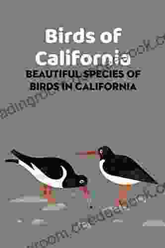 Birds Of California: Beautiful Species Of Birds In California: Guide To Identify Birds Of California