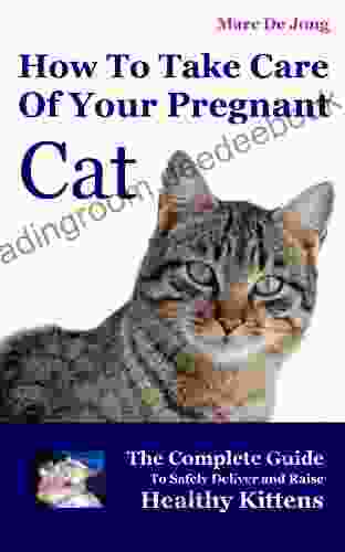 How To Take Care Of Your Pregnant Cat: The Complete Guide To Safely Deliver And Raise Healthy Kittens