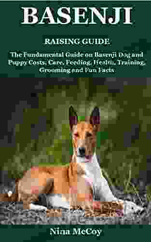 Basenji Raising Guide: The Fundamental Guide on Basenji Dog and Puppy Costs Care Feeding Health Training Grooming and Fun Facts