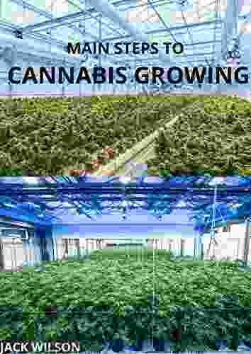 MAIN STEPS TO CANNABIS GROWING : Steps to growing cannabis